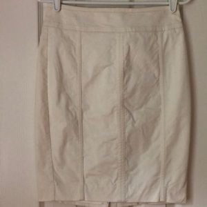 Ann Taylor Astor pencil skirt